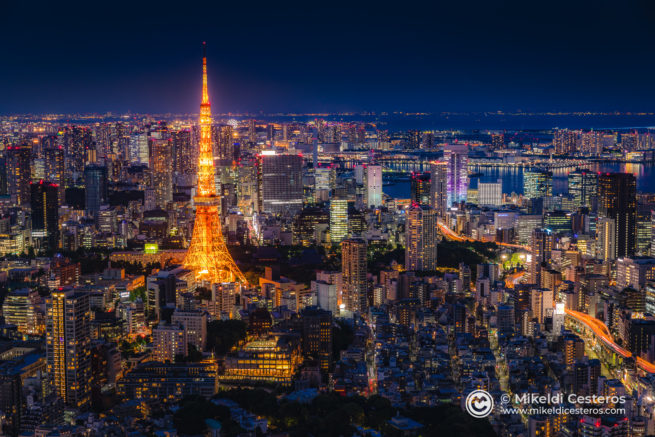 Tokyo Tower and Odaiba Bay by night seen from Roppongi Hills, Minato-ku, Tokyo, Japan