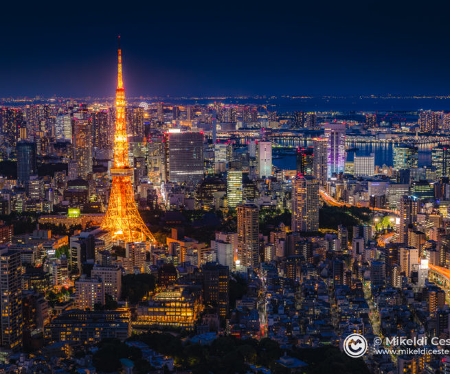 Tokyo Tower and Odaiba Bay by night seen from Roppongi Hills, Minato-ku, Tokyo, Japan